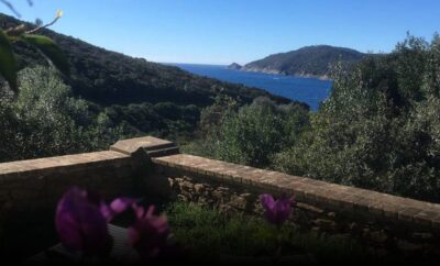 Jolie meublé de tourisme 3 étoiles, vue mer