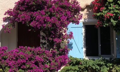 Villa des années 30 pleine de charme dans un jardin méditerranéen en restanques